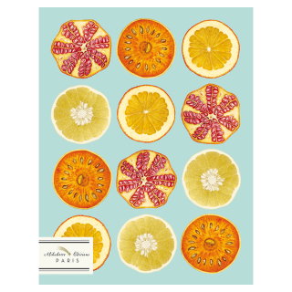 Cahier Ligné 17 x 22 cm Vitamine C - Alibabette Éditions - Rougier et Plé