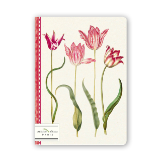 Carnet Ligné A5 15 x 21 cm La danse des tulipes - Alibabette Éditions - Rougier et Plé