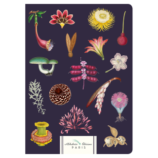 Carnet Ligné A5 15 x 21 cm Merveilleuses - Alibabette Éditions - Rougier et Plé
