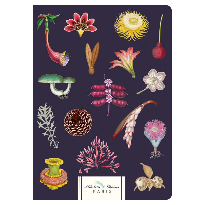 Carnet Ligné A5 15 x 21 cm Merveilleuses - Alibabette Éditions - Rougier et Plé