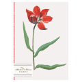 Carnet Ligné A6 10 x 15 cm La tulipe rouge - Alibabette Éditions - Rougier et Plé