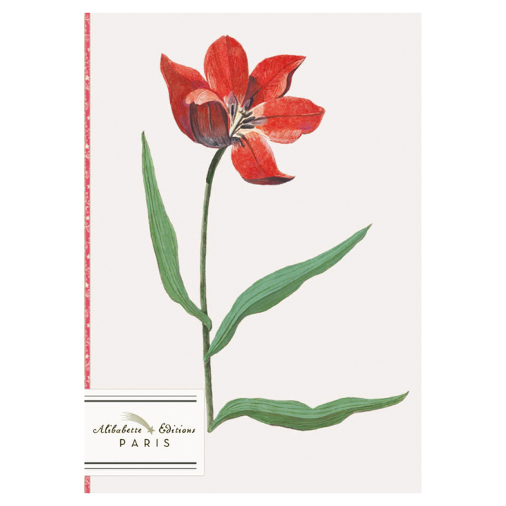 Carnet Ligné A6 10 x 15 cm La tulipe rouge - Alibabette Éditions - Rougier et Plé
