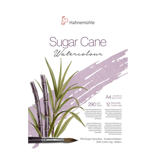 Bloc de papier aquarelle 290 g/m² Grain fin Sugar Cane Watercolour - Hahnemühle - Rougier et Plé