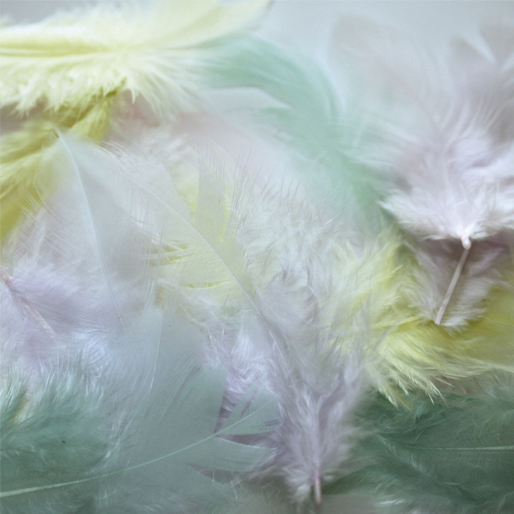 Plume de coq Pastel 7 cm x 20 pcs - Graine Créative - Rougier et Plé