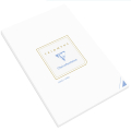 Bloc de correspondance Triomphe A4 50 feuilles velin ligné 90g - Clairefontaine - Rougier et Plé