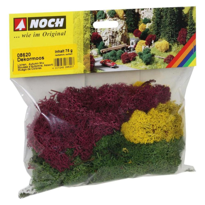Mousse d'Automne 75 g - Noch - Rougier et Plé