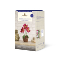 Kit crochet Amigurumi Pot de fleurs - DMC - Rougier et Plé
