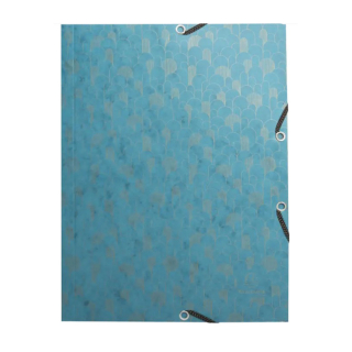 Chemise à élastiques 3 rabats Carte lustrée Néo Déco - Exacompta - Rougier et Plé