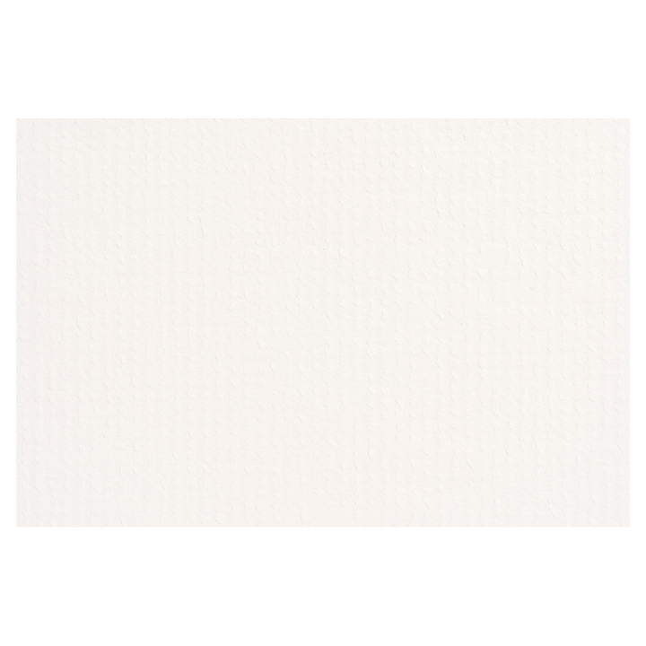 Contrecollé Ame blanc lin 81 x 122 cm 1,4 mm - Nielsen - Rougier et Plé