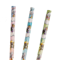 Crayon à papier Diddl - Diddl et ses amis - Rougier et Plé