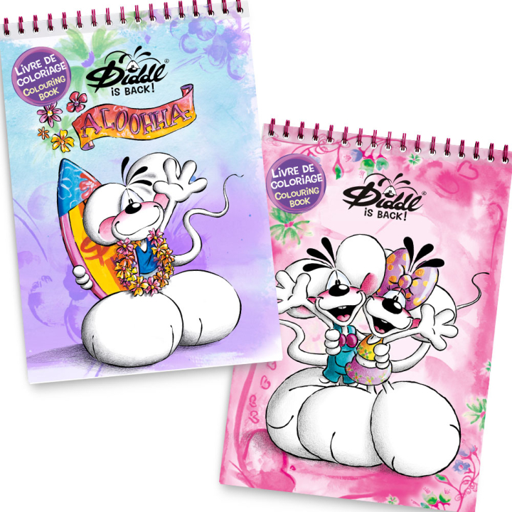 Cahier de coloriage Diddl A4 - Diddl et ses amis - Rougier et Plé