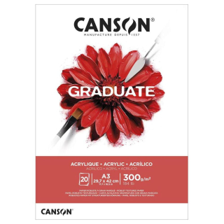 Bloc Graduate acrylique 300 g/m² 20F - Canson - Rougier et Plé