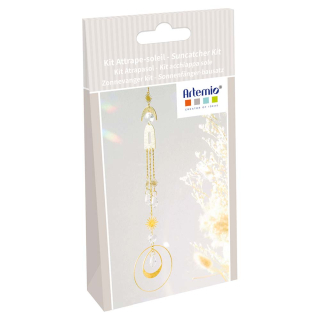 Kit de capteur de soleil 2 - Artemio - Rougier et Plé