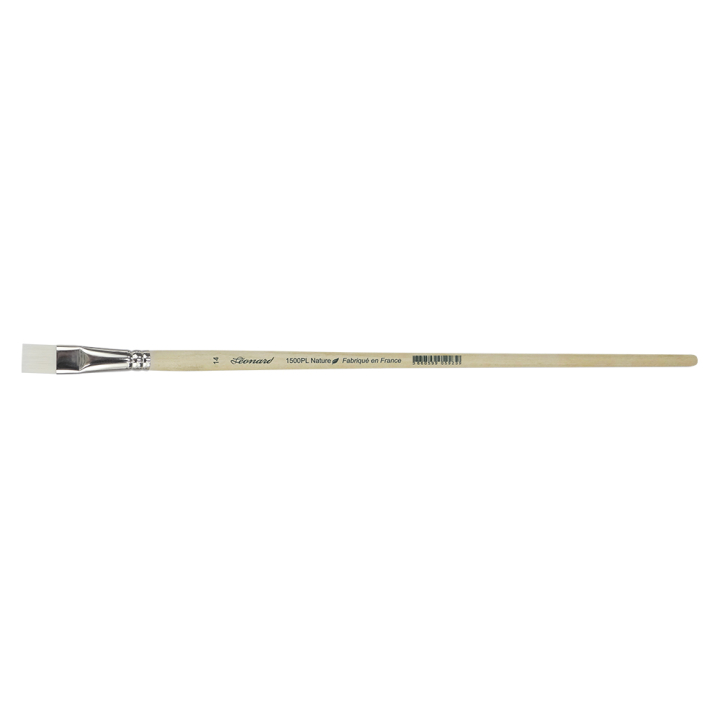 Brosse Plate Nature 1500PL Fibre compostable - Léonard - Rougier et Plé
