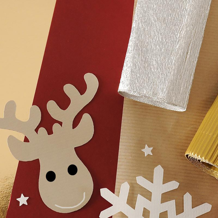 Papier crépon métallisé - Canson - Rougier et Plé