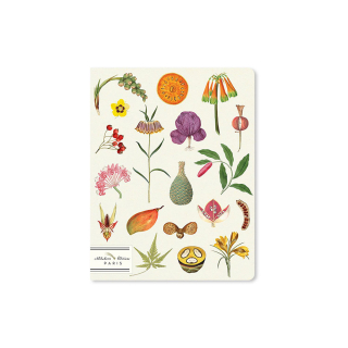 Cahier ligné 17 x 22 cm Les superbes - Alibabette Éditions - Rougier et Plé