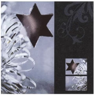 Serviettes Noir et argent 33 x 33 cm 20 pcs - Rayher - Rougier et Plé