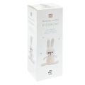 Kit crochet Ricorumi mini Lapin - Rico Design - Rougier et Plé