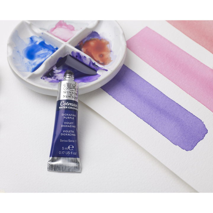 Peinture aquarelle fine Cotman - Winsor & Newton - Rougier et Plé