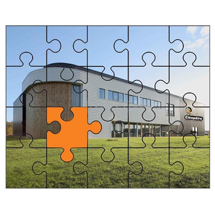 Colle vernis puzzle Cléo'Puzzle 250 g - Cléopatre - Rougier et Plé