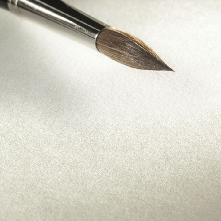 Bloc de papier pour encre Sumi-E - 80 g/m² - 24 x 32 cm 20 feuilles - Rougier et Plé