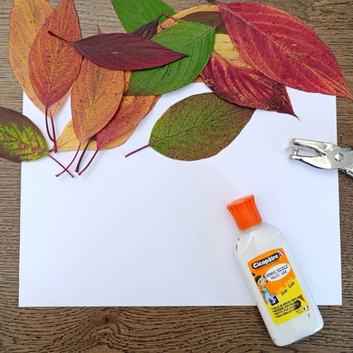 Colle vinylique Vinyl'école 100 g - Cléopatre - Rougier et Plé