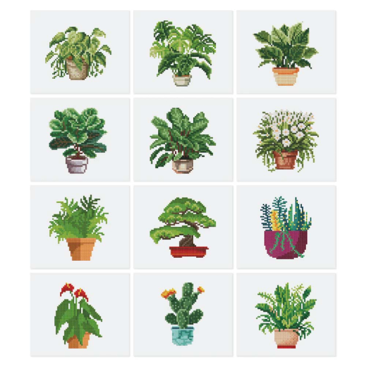 Mini Série Diamond Painting Plantes 2 - Figured'Art - Rougier et Plé