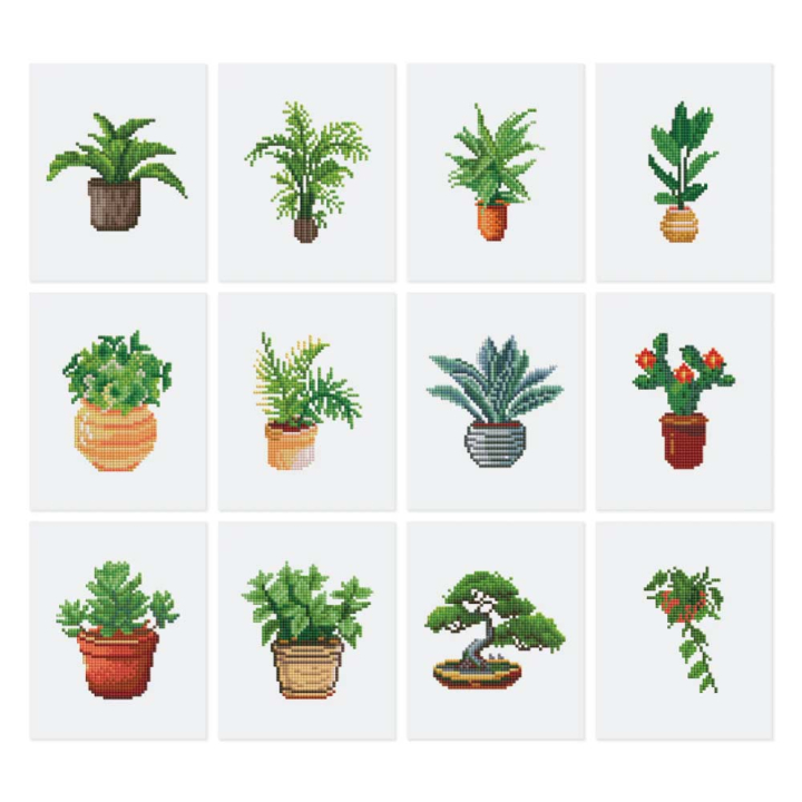 Mini Série Diamond Painting Plantes 3 - Figured'Art - Rougier et Plé