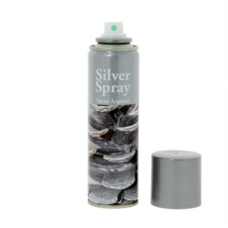 Bombe de peinture Argent 150 ml - Divers - Rougier et Plé