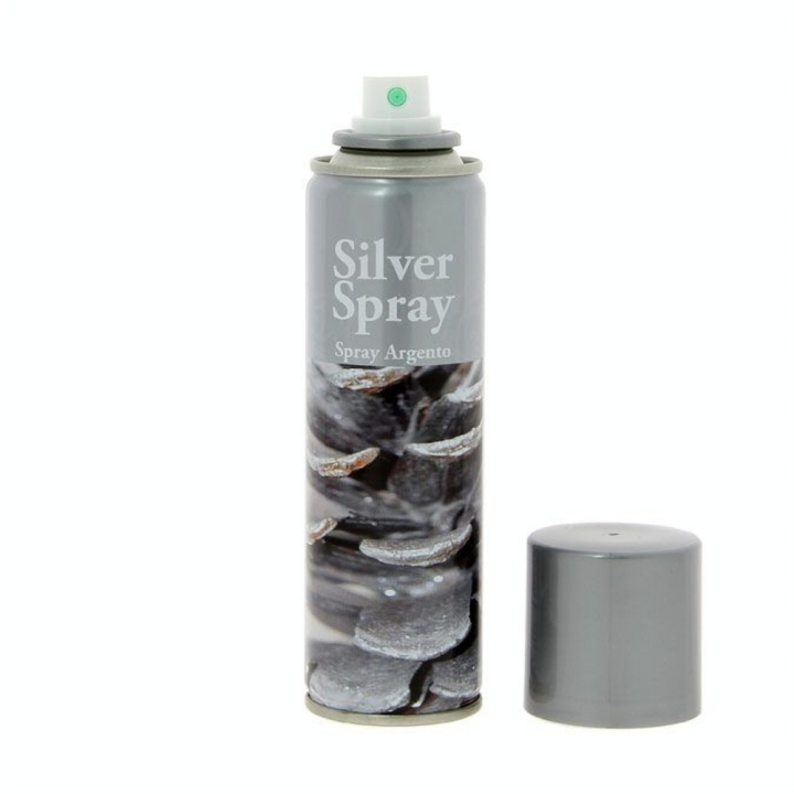 Bombe de peinture Argent 150 ml - Divers - Rougier et Plé
