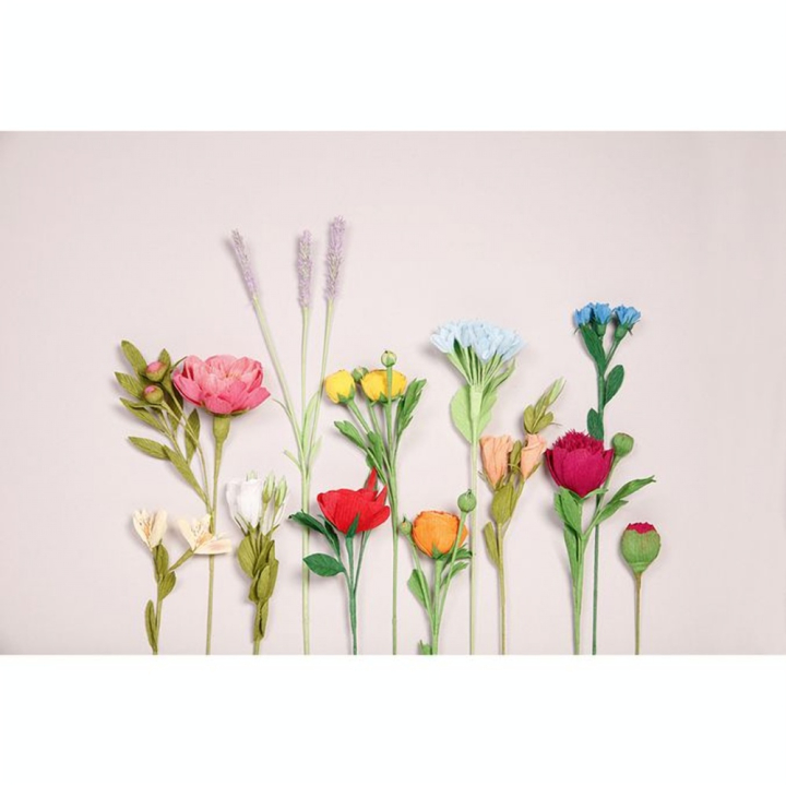 Papier Crépon Fleuriste 25 x 100 cm 10 Couleurs Vives - Clairefontaine - Rougier et Plé