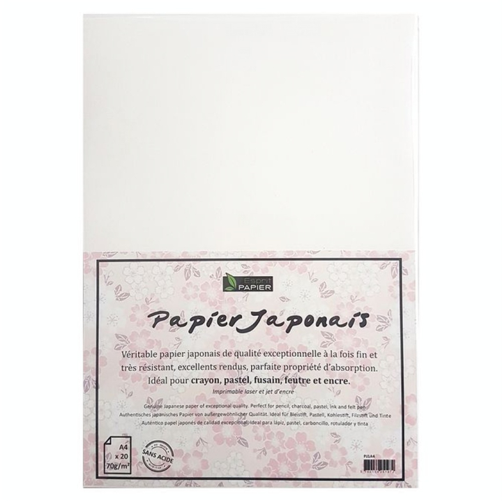 Papier japonais 70 g/m² Lot de 20 feuilles Blanches - Esprit Papier - Rougier et Plé