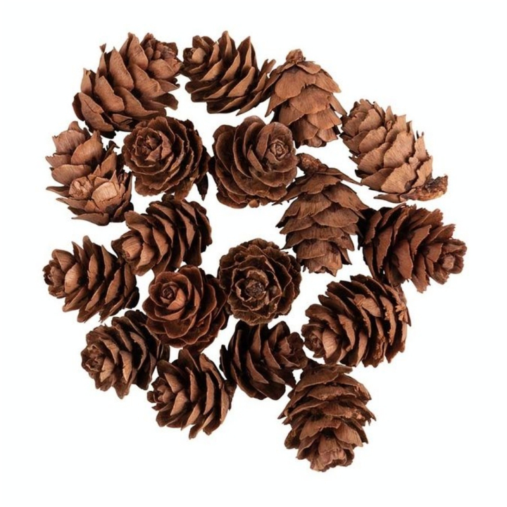 Mini Pommes de pin 18 pcs - Rayher - Rougier et Plé