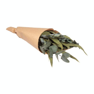 Fleurs séchées 30-35 cm Botte d'eucalyptus - Rayher - Rougier et Plé