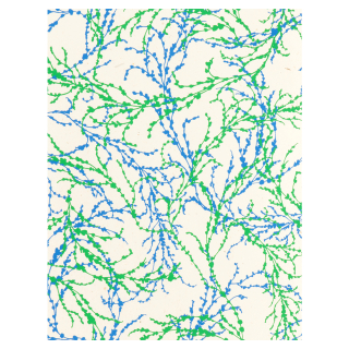 Papier népalais 28 x 21,5 cm 12 pcs N°9 - Artemio - Rougier et Plé