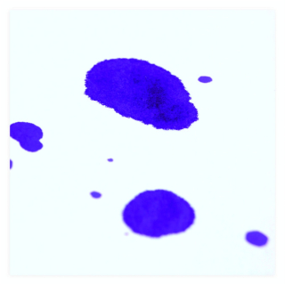 Papier buvard 50 x 65cm 200g blanc - Clairefontaine - Rougier et Plé