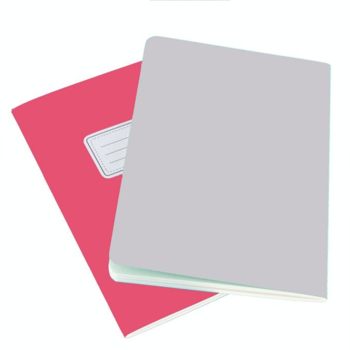 Lot de 2 carnets de croquis & notes 125 g laurier/fuchsia - Hahnemühle - Rougier et Plé