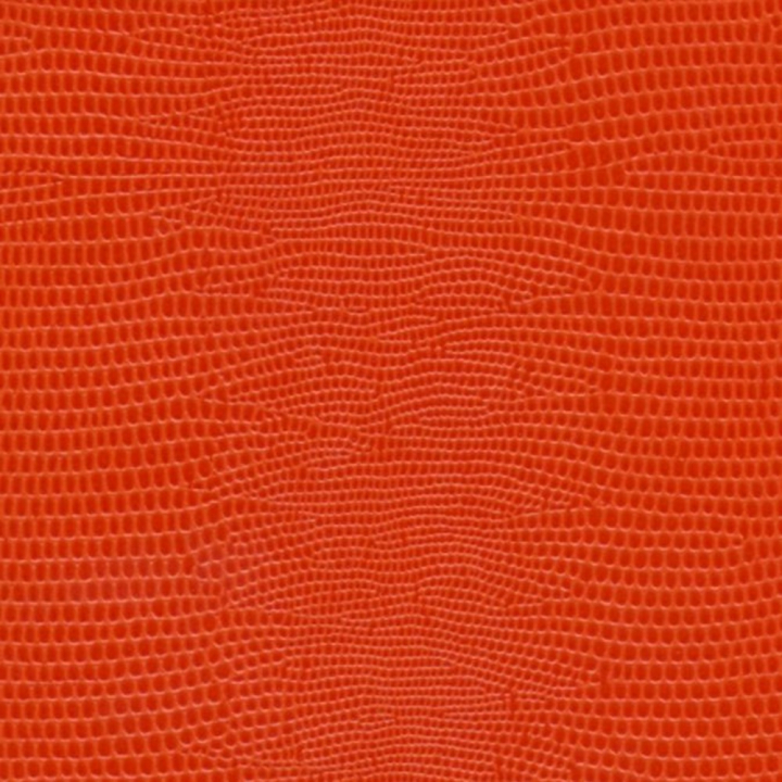 Papier Pellaq®  LEZARD 50 x 68 cm 188 g/m² - Skivertex - Rougier et Plé