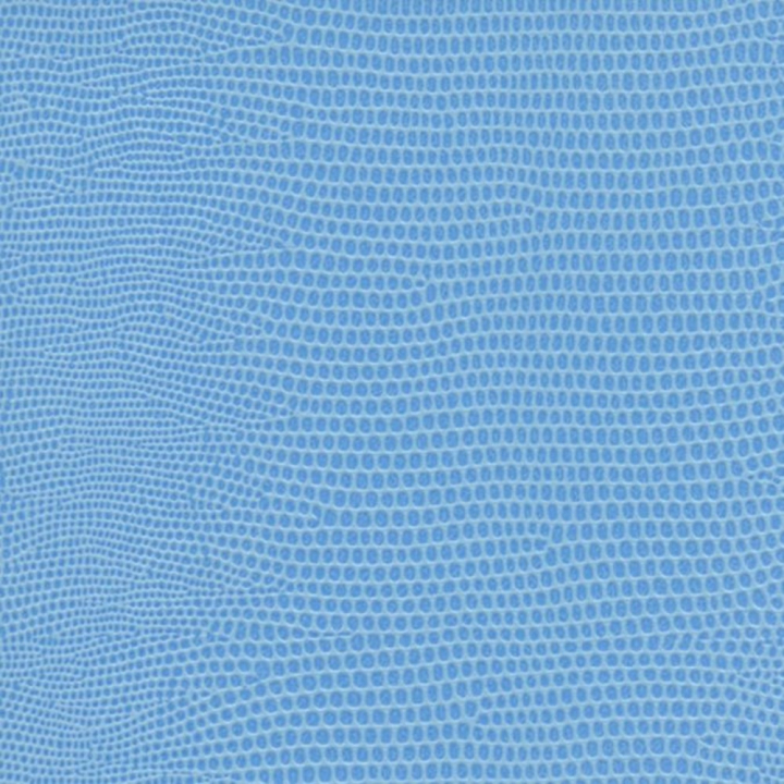 Papier Pellaq®  LEZARD 50 x 68 cm 188 g/m² - Skivertex - Rougier et Plé