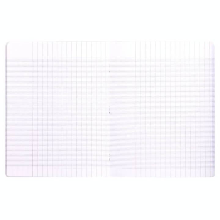 Cahier 17 x 22 cm Séyès - Clairefontaine - Rougier et Plé