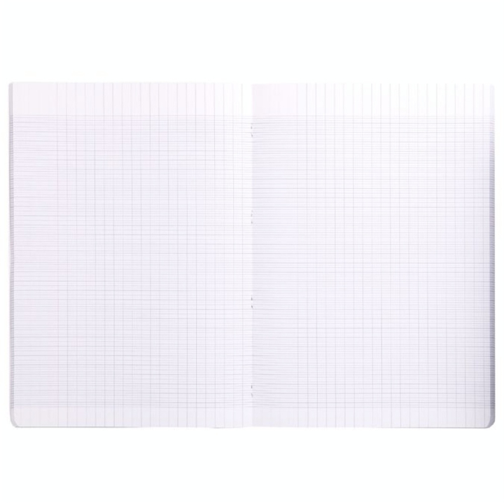 Cahier A4 21 x 29,7 cm Grands carreaux Séyès - Clairefontaine - Rougier et Plé