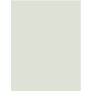 Carton gris 50 X 65 cm 600 g/m² ep. 1 mm - Rougier&Plé - Rougier et Plé