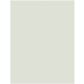 Carton gris 50 X 65 cm 600 g/m² ep. 1 mm - Rougier&Plé - Rougier et Plé