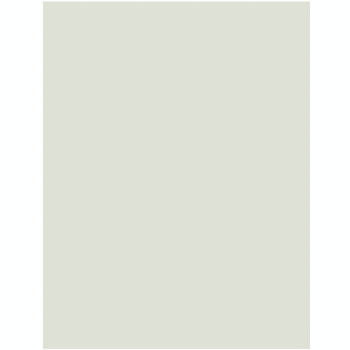 Carton gris 50 X 65 cm 600 g/m² ep. 1 mm - Rougier&Plé - Rougier et Plé