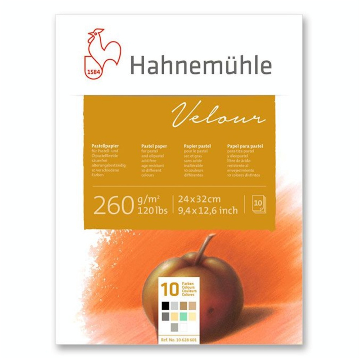 Bloc de papier pastel Velour 260 g/m² couleurs assorties 10 feuilles - Hahnemühle - Rougier et Plé