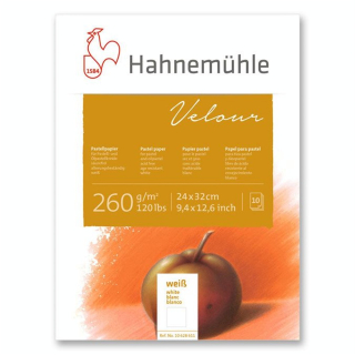 Bloc de papier pastel Velour 260 g/m² blanc 10 feuilles - Hahnemühle - Rougier et Plé