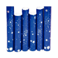 Rouleau de papier ciel étoilé 0,70 x 1,5 m - Clairefontaine - Rougier et Plé