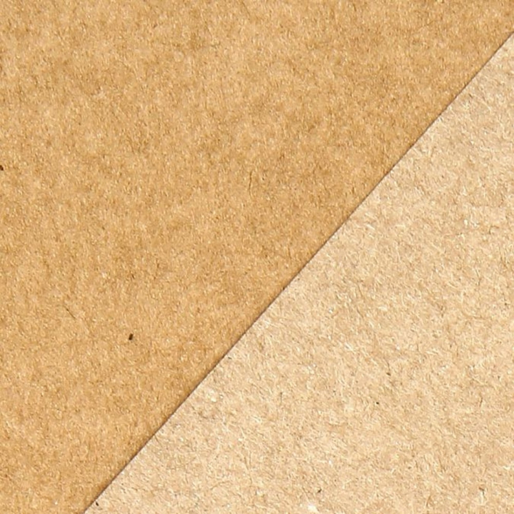 Feuille de Kraft brun 50 x 70 cm 160 g/m² Brut - Clairefontaine - Rougier et Plé