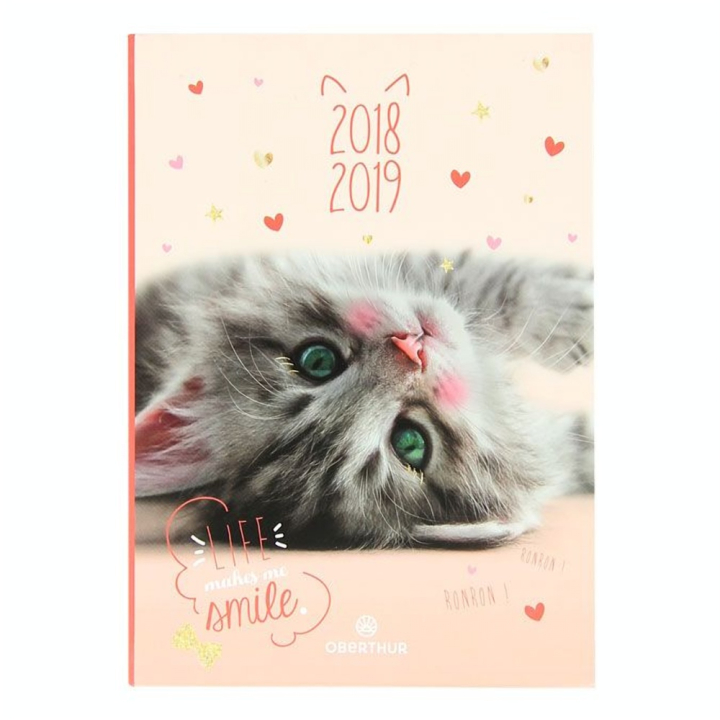 Agenda scolaire 2018-19 journalier 12 x 17 cm Chaton - Editions Oberthur - Rougier et Plé