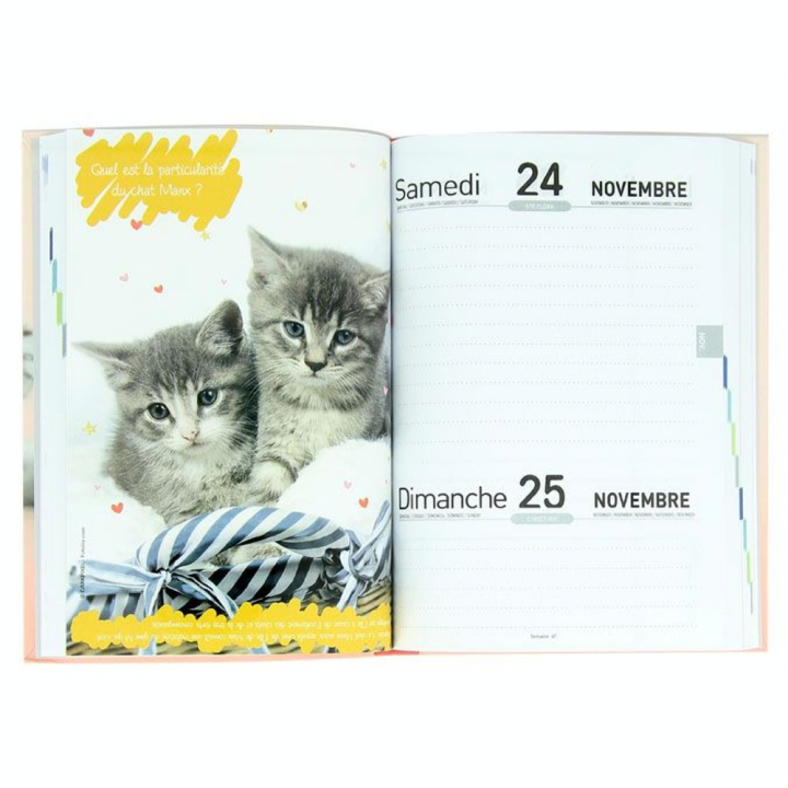 Agenda scolaire 2018-19 journalier 12 x 17 cm Chaton - Editions Oberthur - Rougier et Plé